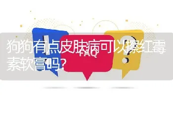 狗狗有点皮肤病可以擦红霉素软膏吗？