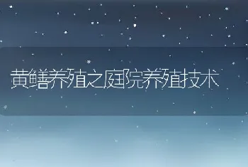 黄鳝养殖之庭院养殖技术