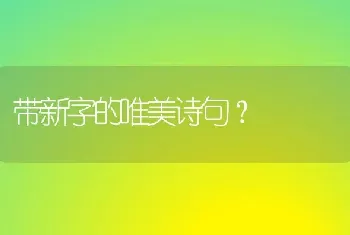 带新字的唯美诗句？