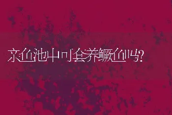 亲鱼池中可套养鳜鱼吗？