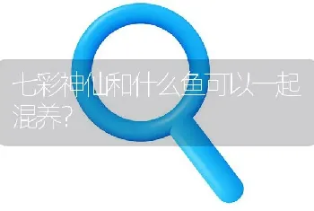 七彩神仙和什么鱼可以一起混养？