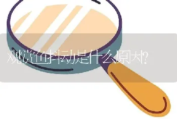 观赏鱼抖动是什么原因？