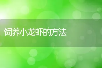 春季有效繁殖杂交鲤鱼技术