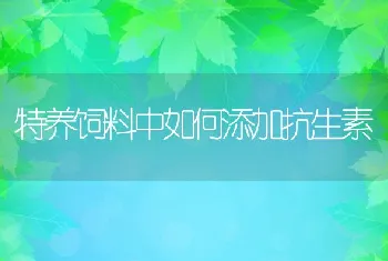 特养饲料中如何添加抗生素