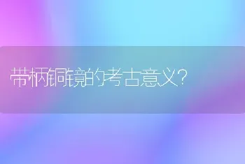 带柄铜镜的考古意义？