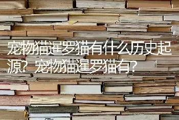 英国斗牛犬生活在多少温度？