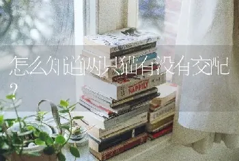 怎么知道两只猫有没有交配？