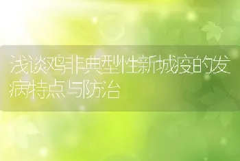 浅谈鸡非典型性新城疫的发病特点与防治