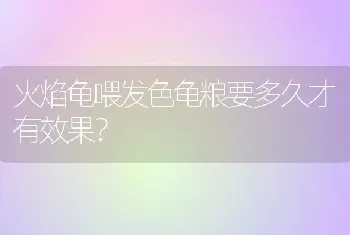 火焰龟喂发色龟粮要多久才有效果？