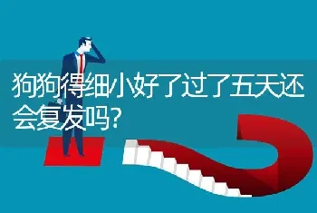 狗狗得细小好了过了五天还会复发吗？