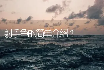 射手鱼的简单介绍？