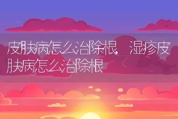 皮肤病怎么治除根，湿疹皮肤病怎么治除根