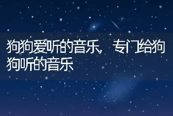 狗狗爱听的音乐，专门给狗狗听的音乐