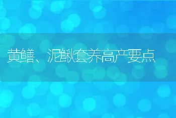 黄鳝、泥鳅套养高产要点