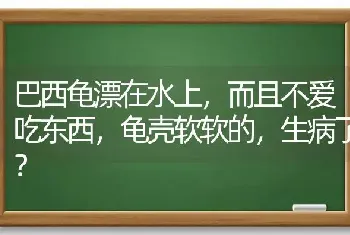 巴西龟漂在水上，而且不爱吃东西，龟壳软软的，生病了？