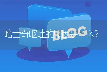 哈士奇呕吐的原因是什么？