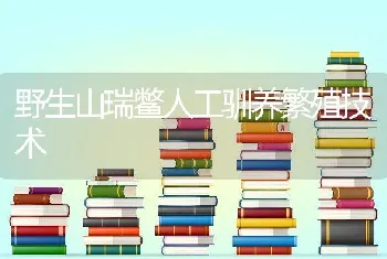 野生山瑞鳖人工驯养繁殖技术