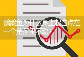 鹦鹉鱼为什么身上起白点在一个角落里不动？