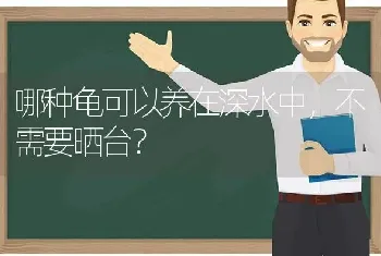 哪种龟可以养在深水中，不需要晒台？