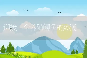 迎接一个养殖鲫鱼的热潮