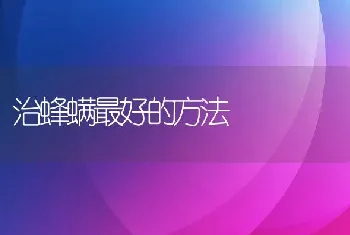 治蜂螨最好的方法