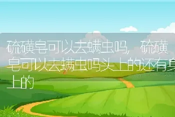 硫磺皂可以去螨虫吗，硫磺皂可以去螨虫吗头上的还有身上的