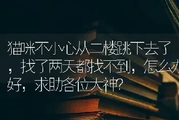 猫咪不小心从二楼跳下去了，找了两天都找不到，怎么办好，求助各位大神？