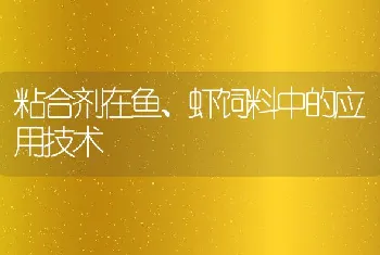 粘合剂在鱼、虾饲料中的应用技术