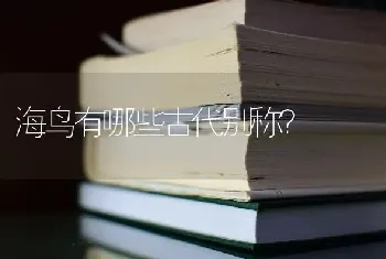 海鸟有哪些古代别称？