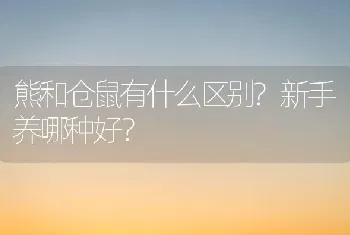 熊和仓鼠有什么区别?新手养哪种好？