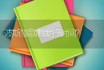 波斯猫歌曲发行时间？