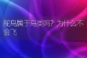 鸵鸟属于鸟类吗？为什么不会飞