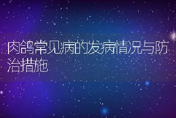 肉鸽常见病的发病情况与防治措施