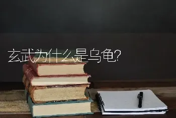 玄武为什么是乌龟？