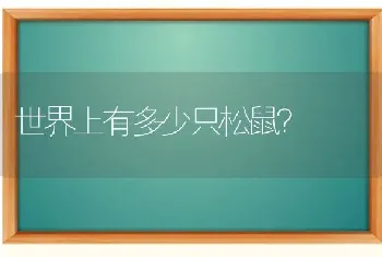 猫是不是有种毛色叫，乌云盖雪，的?珍贵么？