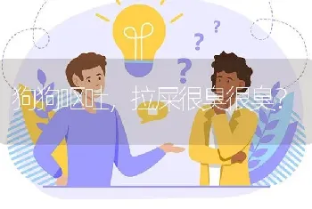 狗狗呕吐，拉屎很臭很臭？