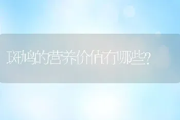 斑鸠的营养价值有哪些？