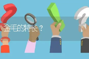 金毛的特长？