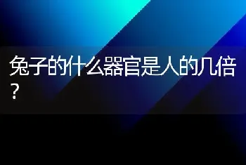 兔子的什么器官是人的几倍？