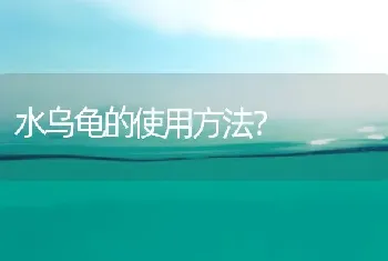 水乌龟的使用方法？