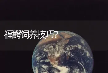 米熊仓鼠怎么养】？