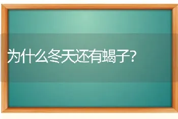 为什么冬天还有蝎子？