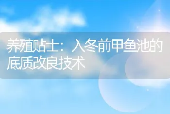 养殖贴士：入冬前甲鱼池的底质改良技术