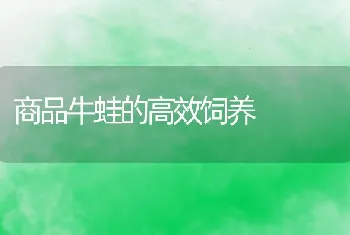 放养鱼苗须防气泡病