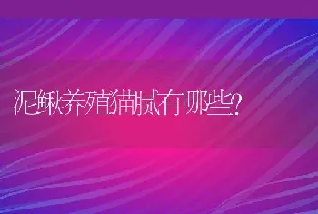 十个平方能养多少黄鳝？