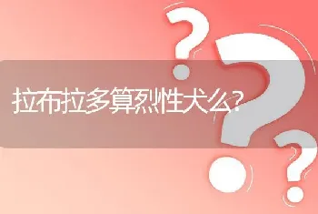 拉布拉多算烈性犬么？