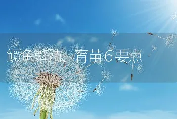 鳜鱼繁殖、育苗６要点