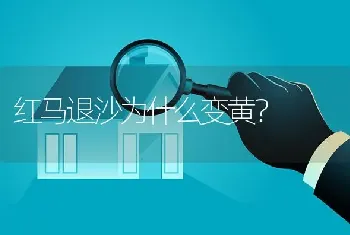 红马退沙为什么变黄？