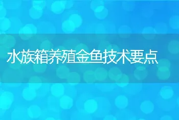 淡水牛蛙腹水病的防治技术