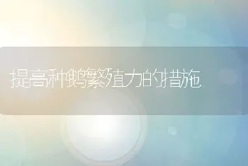 提高种鹅繁殖力的措施